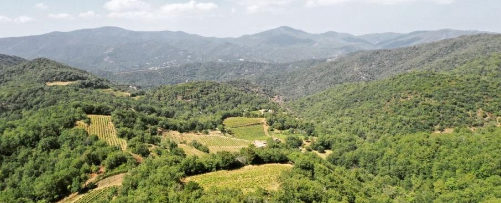 Domaine de l'Avellan à Collobrières Domaine de l'Avellan à Collobrières
