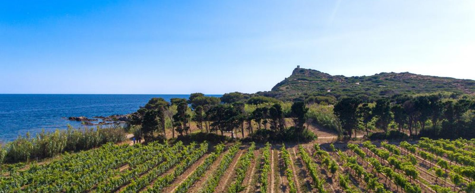 Domaine Ile des Embiez