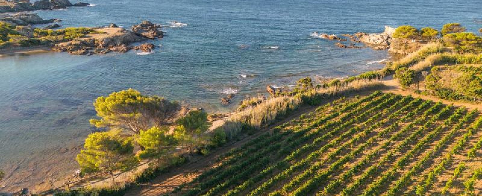 Le Domaine Ile des Embiez Le Domaine Ile des Embiez