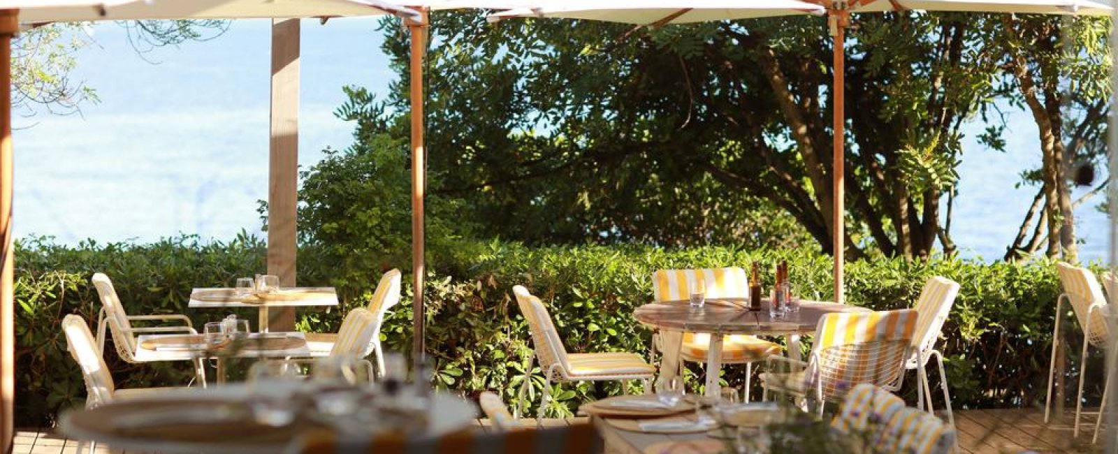 Le Bar du Soleil à Giens, Le provençal