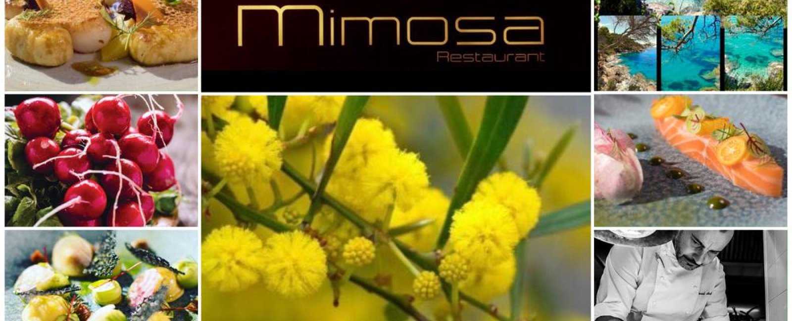 Restaurant Mimosa_Bormes-les-Mimosas