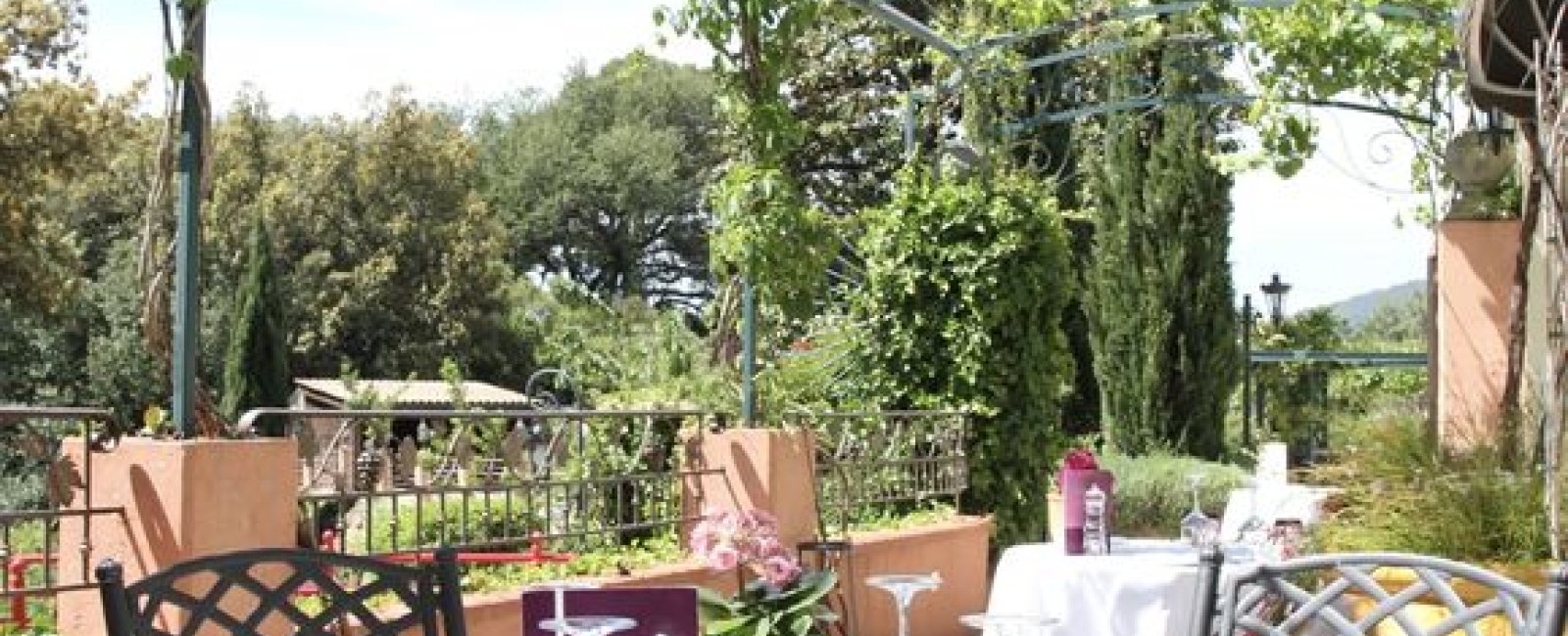 Coté terrasse ombragée