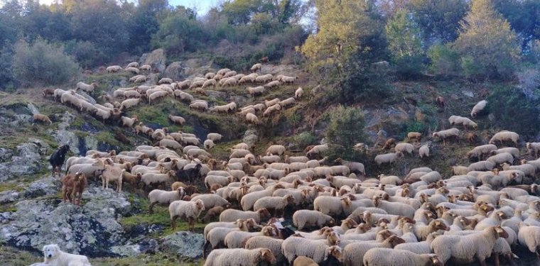 Ferme du lambert Ferme du lambert