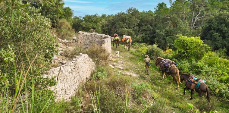 Balades et randonnées avec les muletiers Bigatier_Cuers