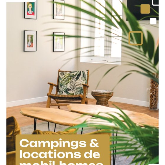 Vignette camping et location de mobil-home