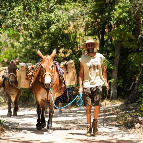 Randonnée à la journée avec mules et muletiers - Les Muletiers Bigatier à Cuers
