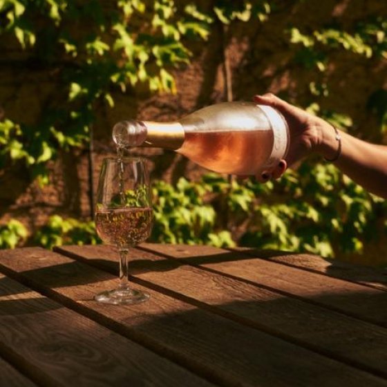 Verkostung in der Domaine de la Portanière_Collobrières