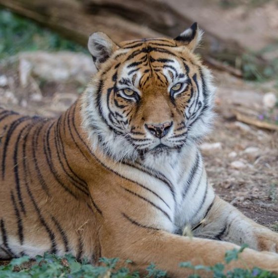 Amusez-vous en Méditerranée Porte des Maures Amusez-vous en Méditerranée Porte des Maures