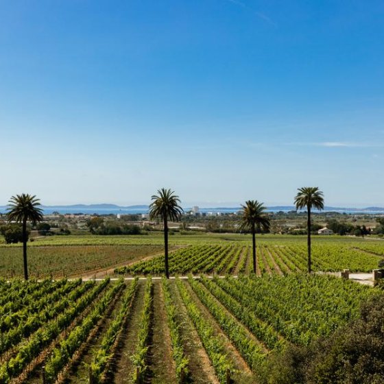 Parcours d'initiation au Château Galoupet à la Londe les Maures Parcours d'initiation au Château Galoupet à la Londe les Maures