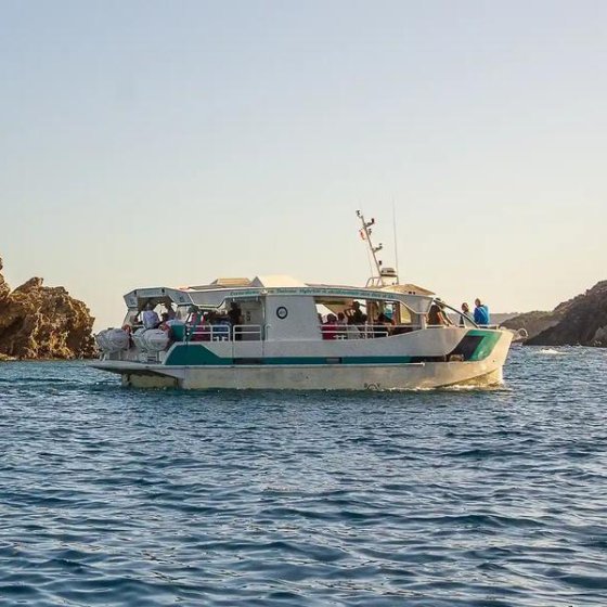 In the heart of the National Park with Latitude Verte_Bormes-les-Mimosas