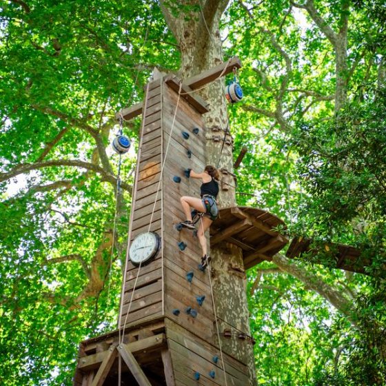 Tree climbing routes with Ecopark Adventures_Solliès-Ville
