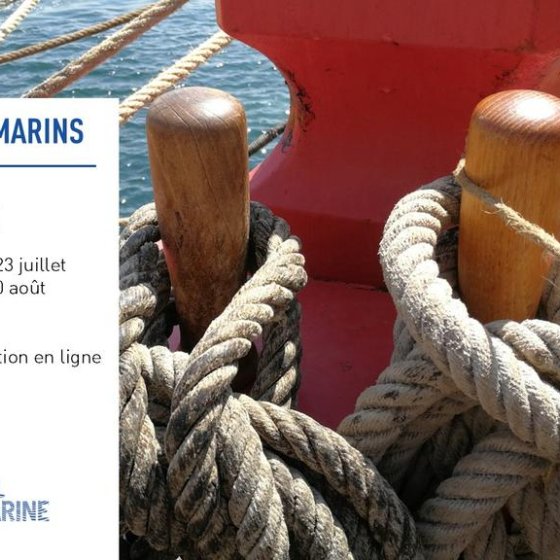 Jeune public - Visite/Atelier famille "Nœuds marins"_Toulon
