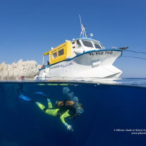 Nouvelle formation plongée-sous marine Open Water PADI  Aqualonde La Londe