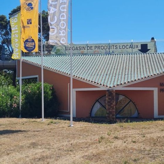 Terre d'Hyères producteurs locaux
