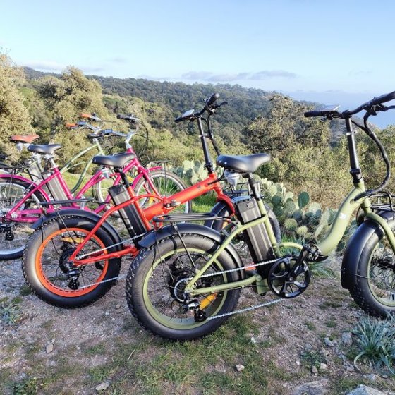 Vélos crêtes