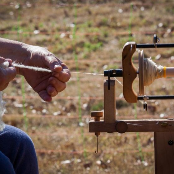 Ferme du lambert Ferme du lambert