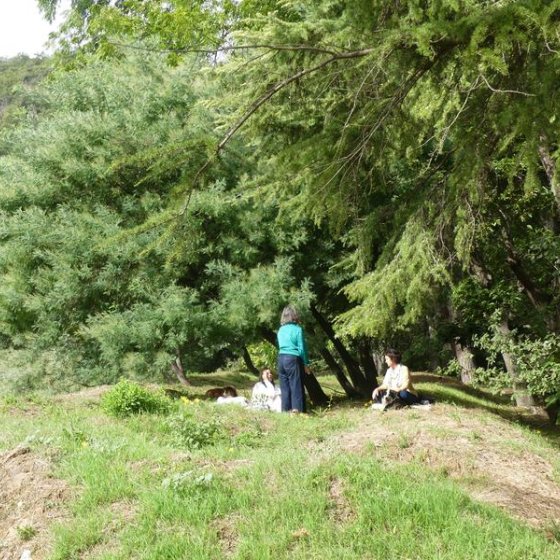 Séance en plein air avec Marie-Ange Aubert