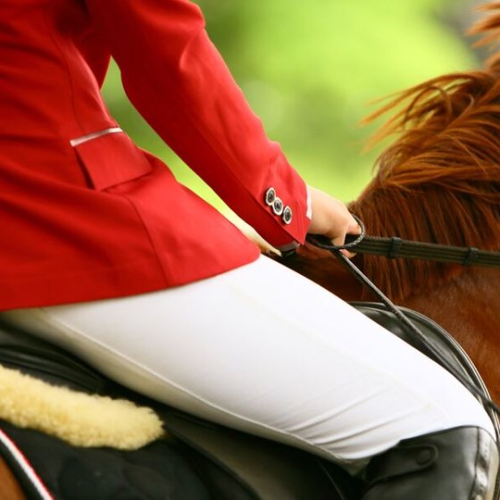 Le sport en Méditerranée Porte des Maures - équitation