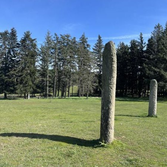 Die Menhire auf dem Plateau Lambert_Collobrières