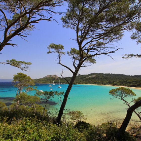 La plage Notre Dame - ile de porquerolles - hyeres