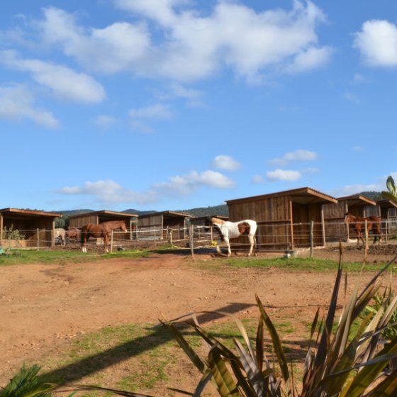 Equestrian centre for leisure activities, owners' stables, competitions in La Londe