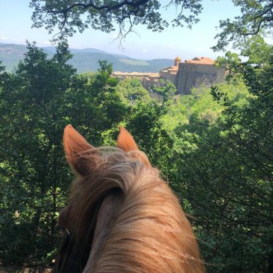 Vue sur la Chartreuse avec l'encolure d'un cheval en premier plan