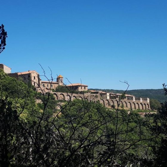 Vue de la chartreuse de côté à travers l'écrin de végétation
