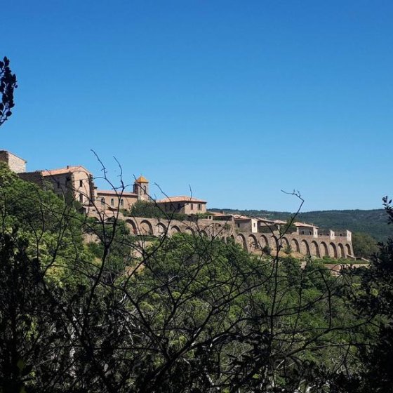 Vue de côté sur la Chartreuse à travers l'écrin de végétation