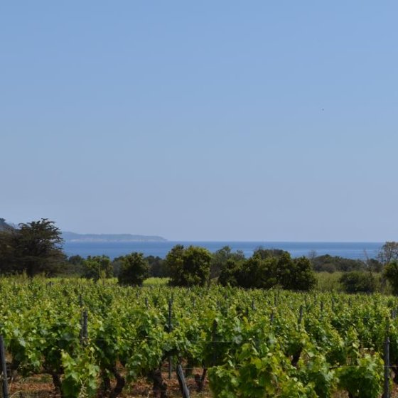 Vue sur le fort de Brégançon ainsi que la Pointe de la Galère