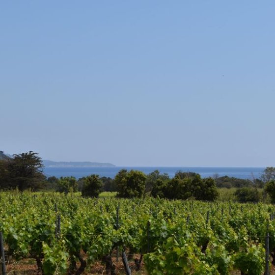 Vue sur le fort de Brégançon ainsi que la Pointe de la Galère