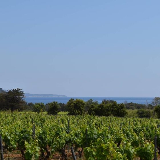 Vue sur le fort de Brégançon ainsi que la Pointe de la Galère