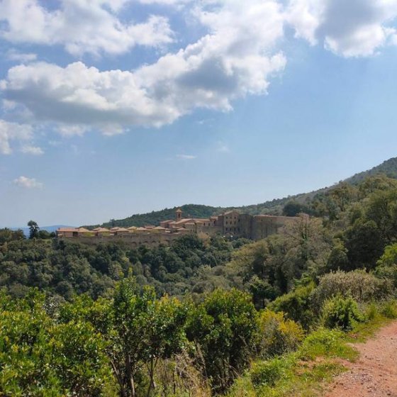 L'imposante Chartreuse de la Verne édifiée dans un écrin de verdure