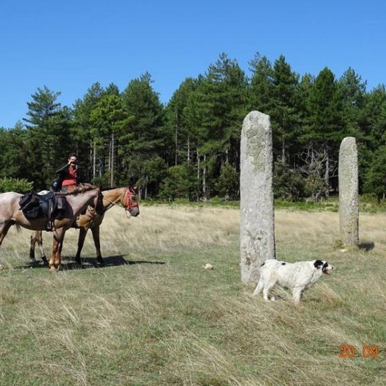 Cavalier et 2 chevaux à côté des menhirs des Lamberts au milieu d'une prairie