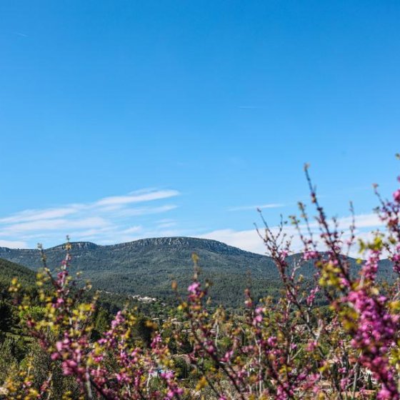 Les randonnées en Méditerranée Porte des Maures