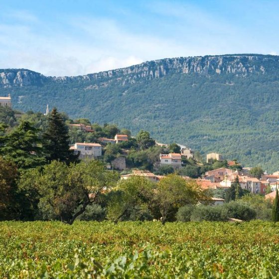 Les Barres de Cuers Les Barres de Cuers