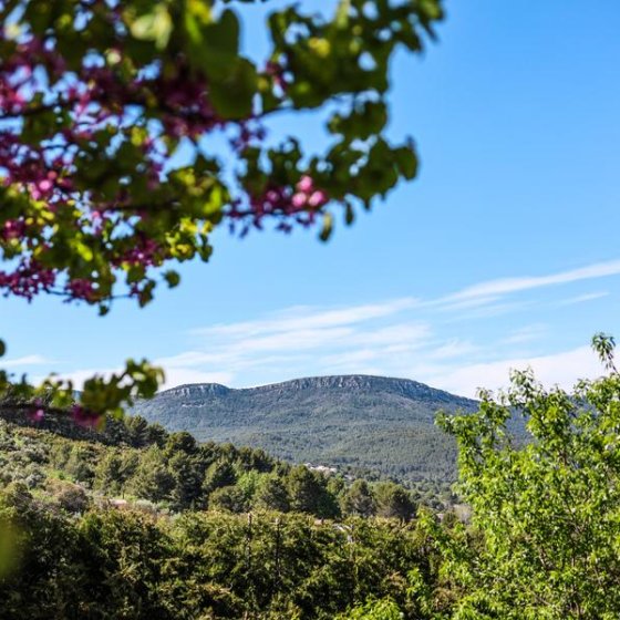 Les randonnées en Méditerranée Porte des Maures