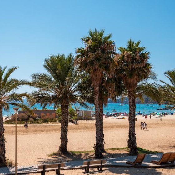 Plage de la Favière_Bormes-les-Mimosas