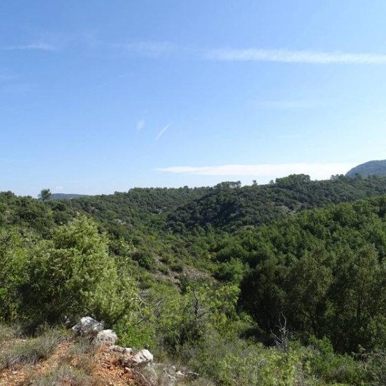 Panorama sur les collines et la végétation verdoyante Panorama sur les collines et la végétation verdoyante
