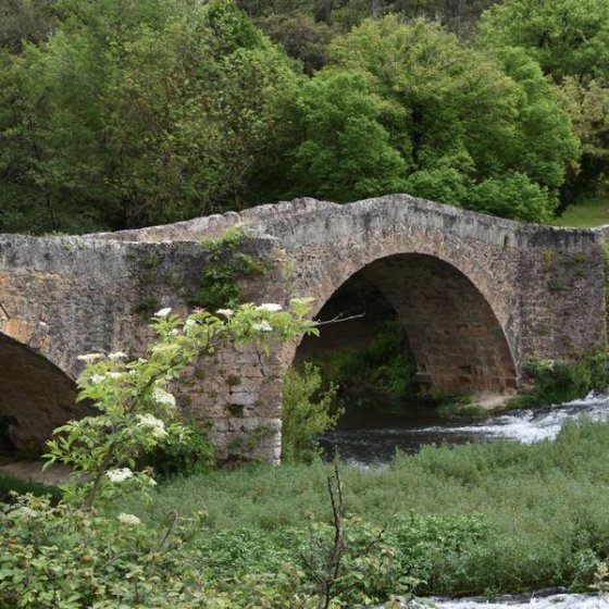 Pont en pierres avec 2 arcades entouré de végétation verdoyante et de la rivière du Caramy Pont en pierres avec 2 arcades entouré de végétation verdoyante et de la rivière du Caramy