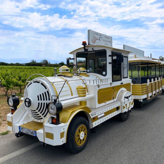 Balade en petit train au milieu des vignes à La Londe le Maures