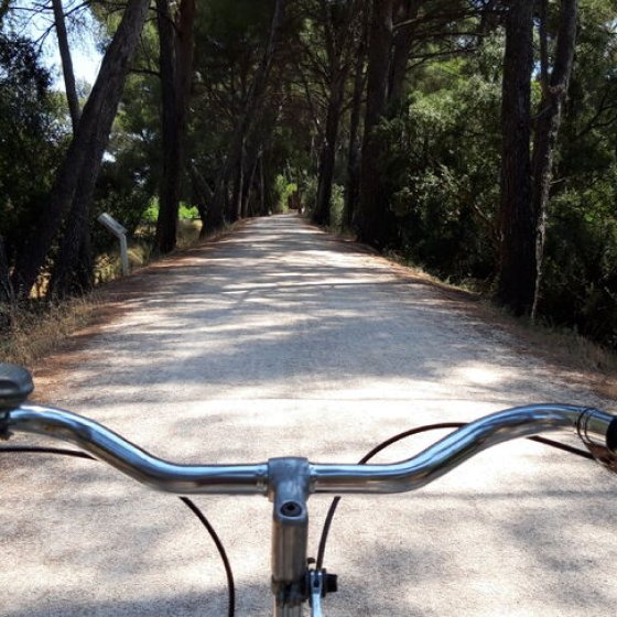 Les parcours vélo en Méditerranée Porte des Maures