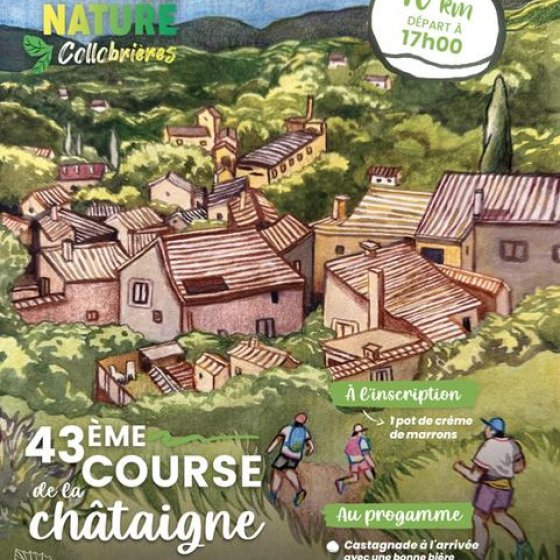 Kastanienlauf_Collobrières