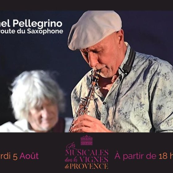 Musicales dans les vignes Musicales dans les vignes