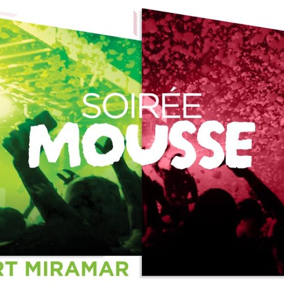 Les animations de l'été en Méditerranée Porte des Maures Les animations de l'été en Méditerranée Porte des Maures