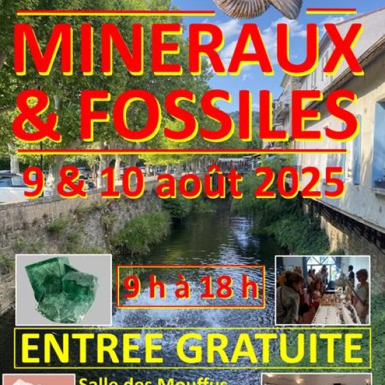 Mineral and Fossil Show_Collobrières