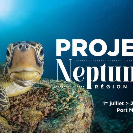 Projet Neptune à La Londe les Maures Projet Neptune à La Londe les Maures