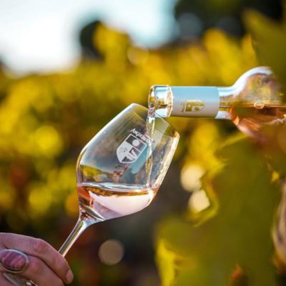 Les Apéros au Château Angueiroun_Bormes-les-Mimosas Les Apéros au Château Angueiroun_Bormes-les-Mimosas
