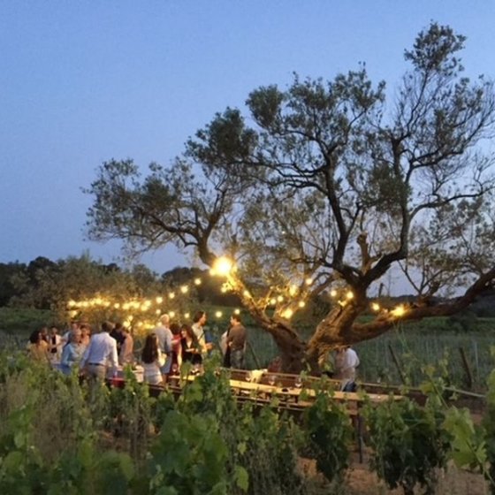 soirées d'été domaine de Favanquet