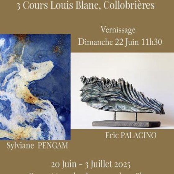 Exposition : Eric Palacino et Sylviane Pengam_Collobrières Exposition : Eric Palacino et Sylviane Pengam_Collobrières