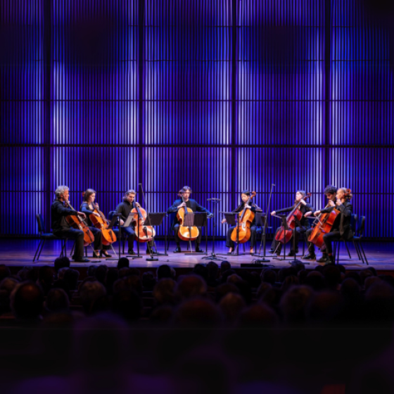 La nuit des violoncelles à la Villa Carmignac_Hyères